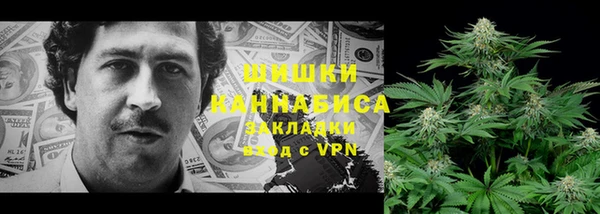 ГАЛЛЮЦИНОГЕННЫЕ ГРИБЫ Арсеньев