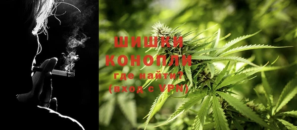 ГАЛЛЮЦИНОГЕННЫЕ ГРИБЫ Арсеньев